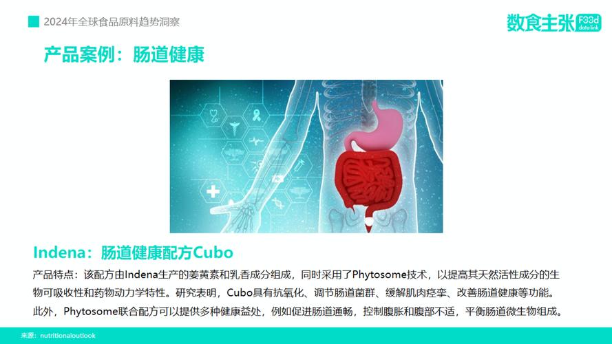 2024新澳门原料免费,设计策略快速解答_整版DKJ656.74